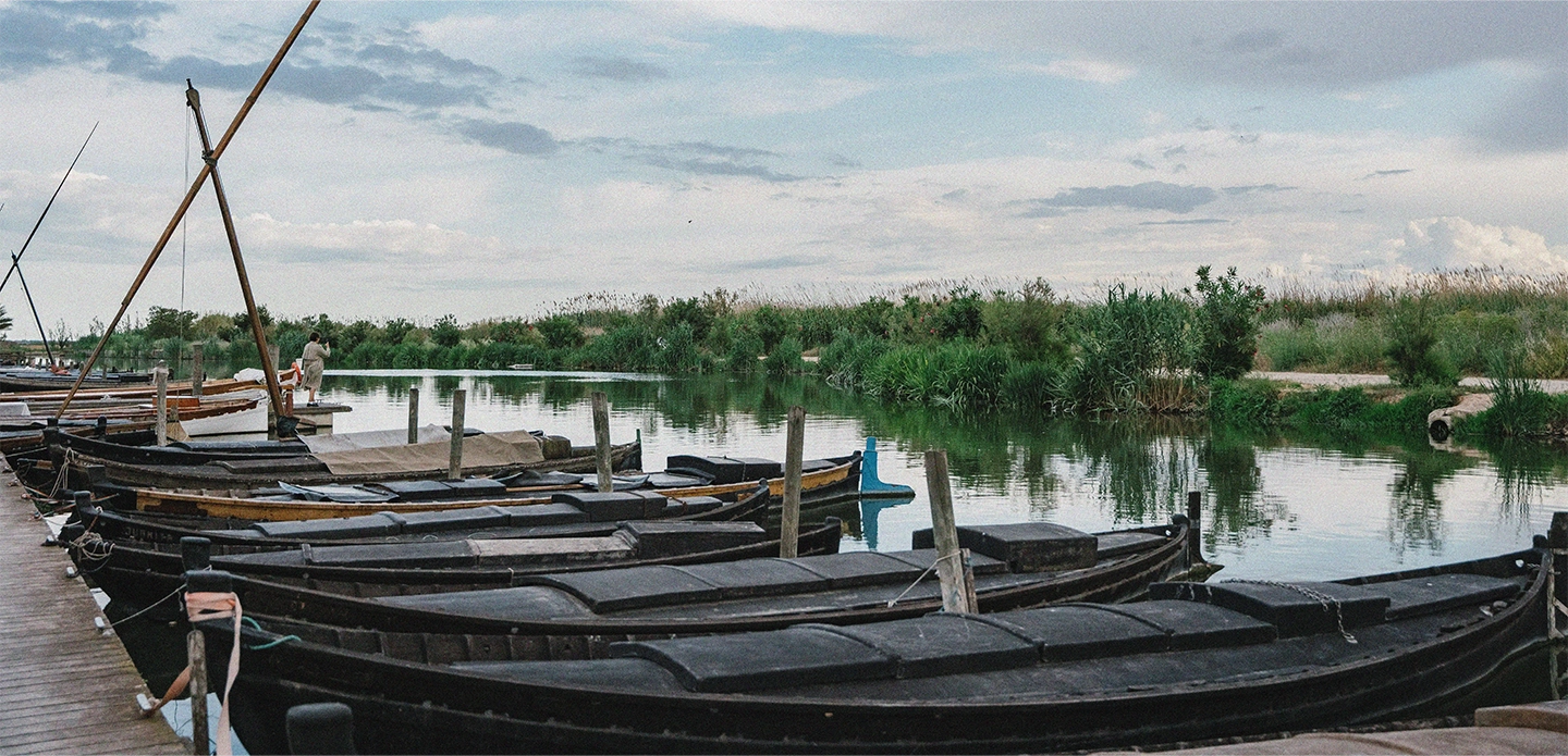 albufera valencia